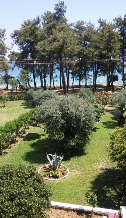 Nisteri Seaside Apartment Limenas  Exterior photo