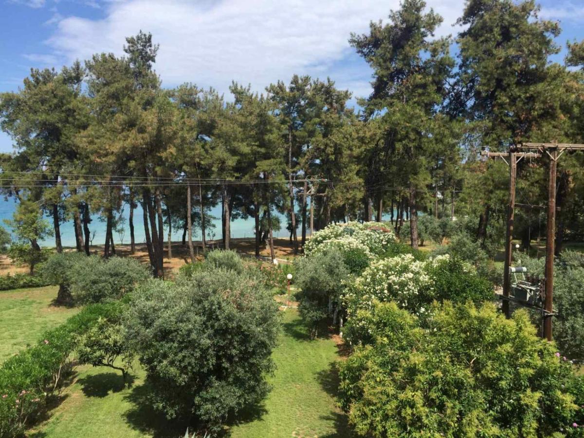 Nisteri Seaside Apartment Limenas  Exterior photo